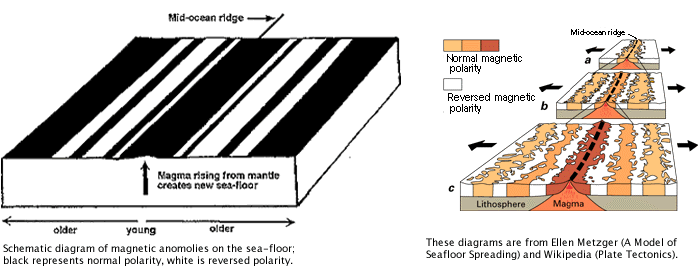 Seafloor Spreading & Magnetic Reversals