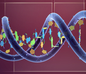 dna 1