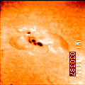 The Sun in Hydrogen-Alpha Light