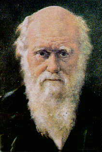 Darwin.jpg (11200 bytes)