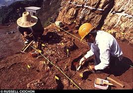China dig