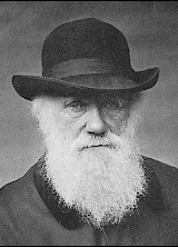 Aging Darwin