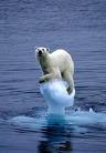 global warming