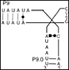genome